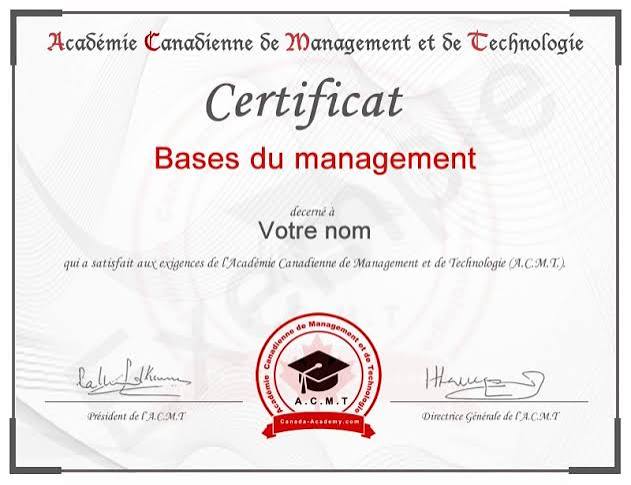 Formation en ligne gratuite avec certificat : guide complet